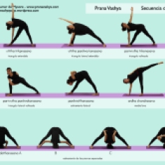 pranavashya-yoga-granada-2